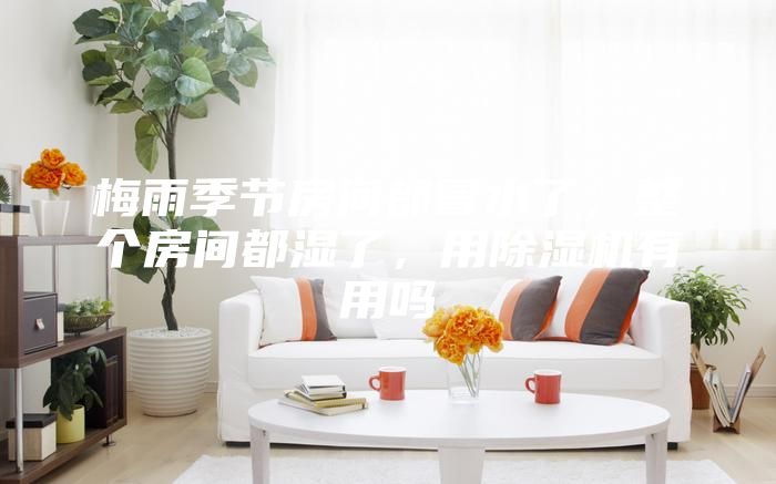 梅雨季节房间都冒水了,整个房间都湿了,用除湿机有用吗
