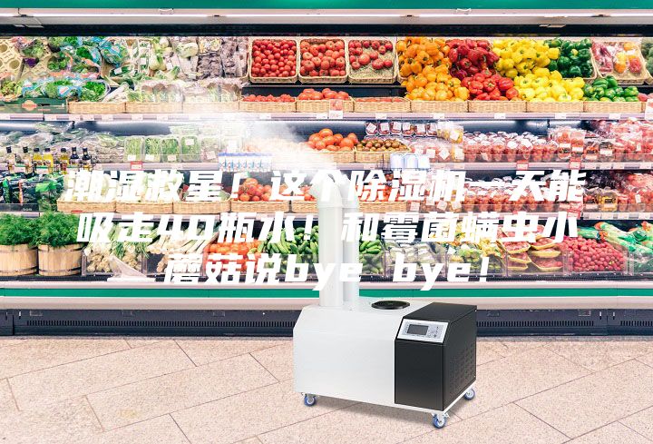 潮湿救星!这个除湿机一天能吸走40瓶水!和霉菌螨虫小蘑菇说bye bye!