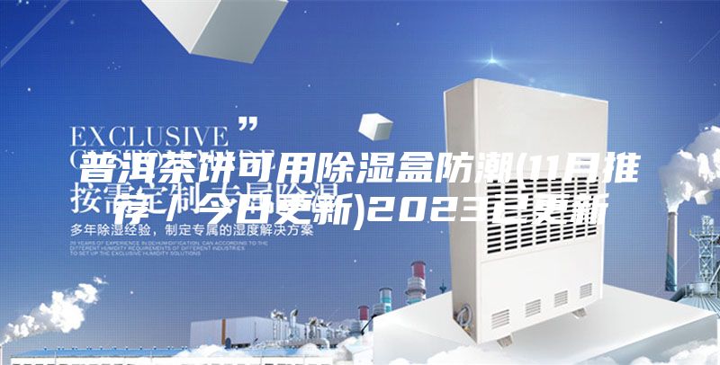 普洱茶饼可用除湿盒防潮(11月推荐／今日更新)2023已更新