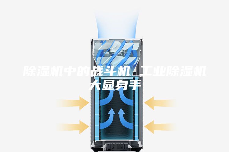 除湿机中的战斗机 工业除湿机大显身手