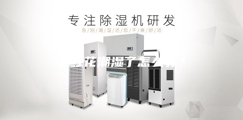 藏红花潮湿了怎么办?