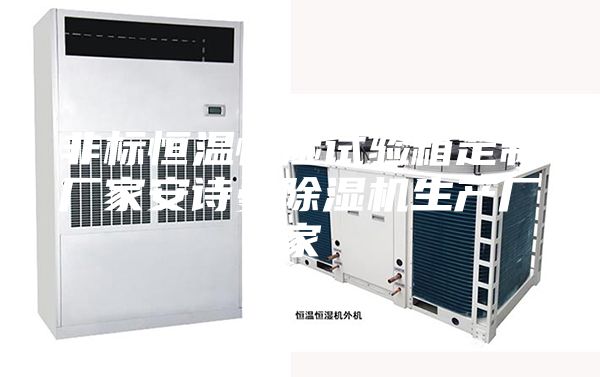 非标恒温恒湿试验箱定制厂家安诗曼除湿机生产厂家