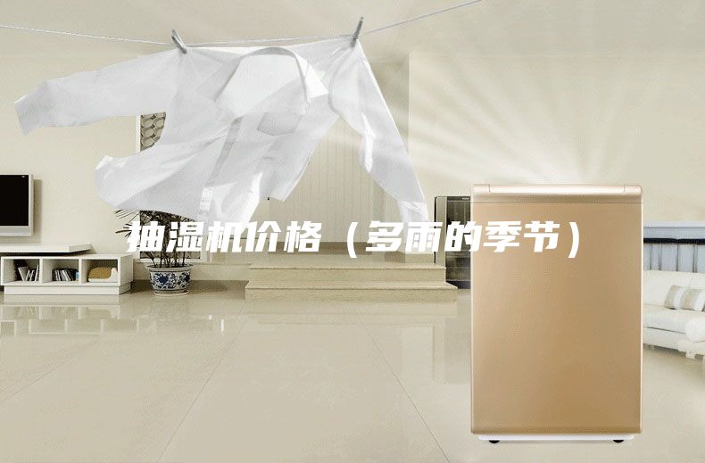 抽湿机价格（多雨的季节）