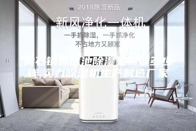 黄石销售泳池除湿机需要多少钱,实力除湿机生产制造厂家