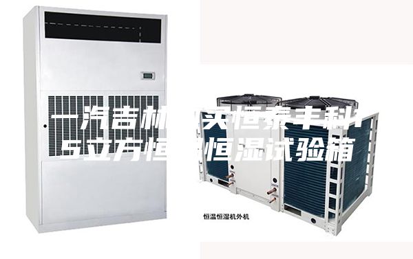 一汽吉林购买恒泰丰科15立方恒温恒湿试验箱