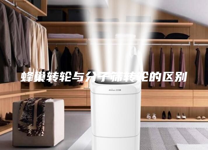 蜂巢转轮与分子筛转轮的区别