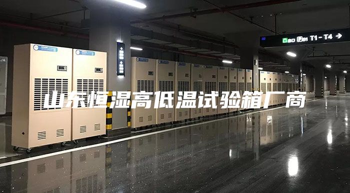 山东恒湿高低温试验箱厂商