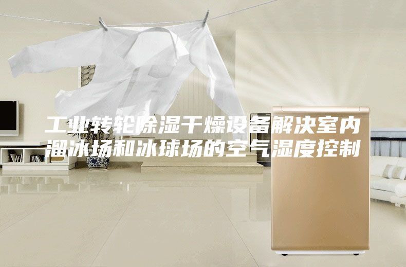 工业转轮除湿干燥设备解决室内溜冰场和冰球场的空气湿度控制