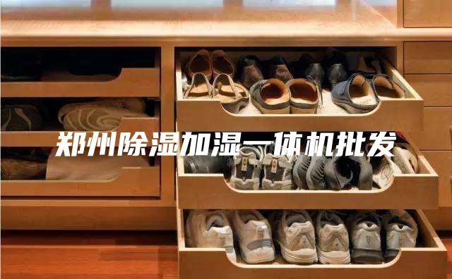 郑州除湿加湿一体机批发