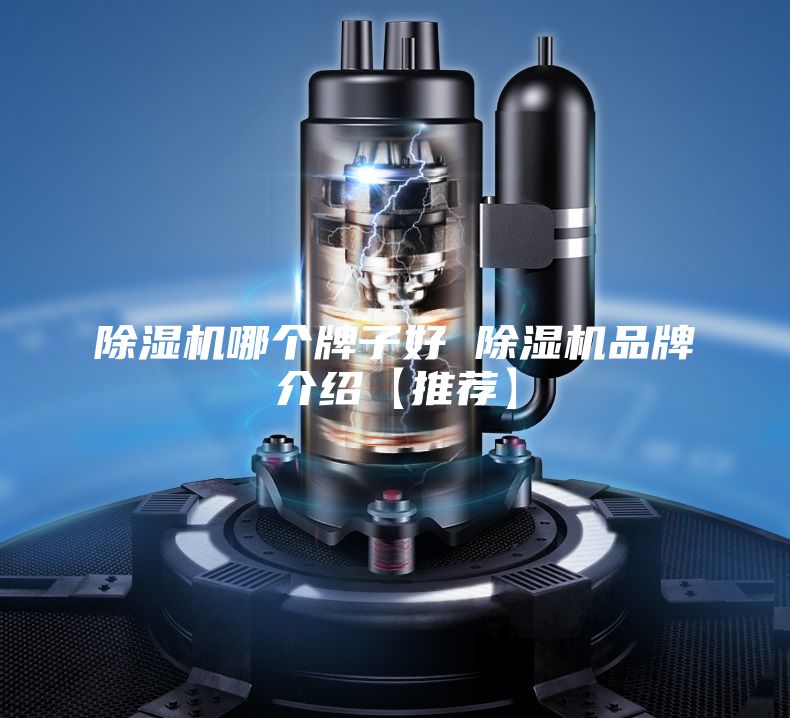 除湿机哪个牌子好 除湿机品牌介绍【推荐】