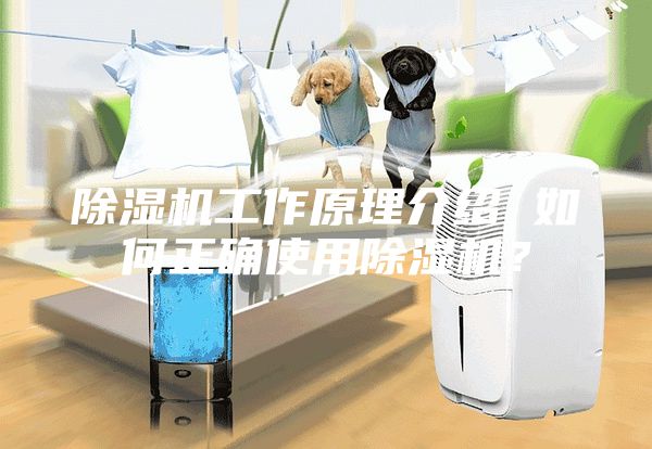 除湿机工作原理介绍 如何正确使用除湿机？