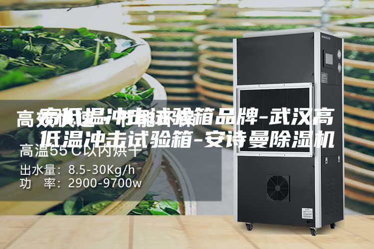 高低温冲击试验箱品牌-武汉高低温冲击试验箱-安诗曼除湿机