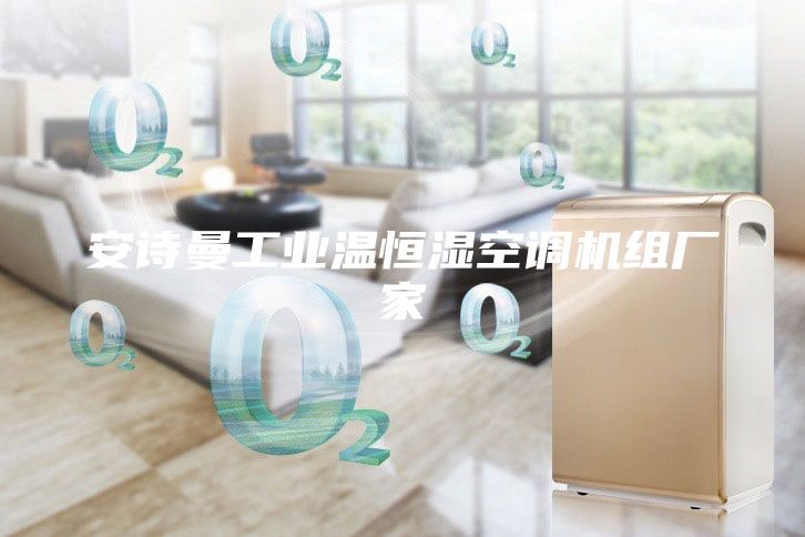 安诗曼工业温恒湿空调机组厂家