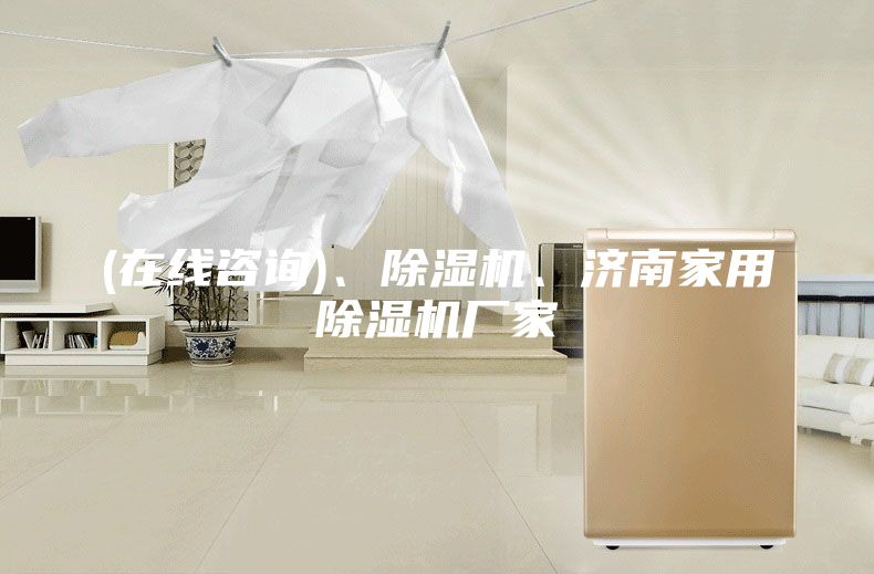 (在线咨询)、除湿机、济南家用除湿机厂家