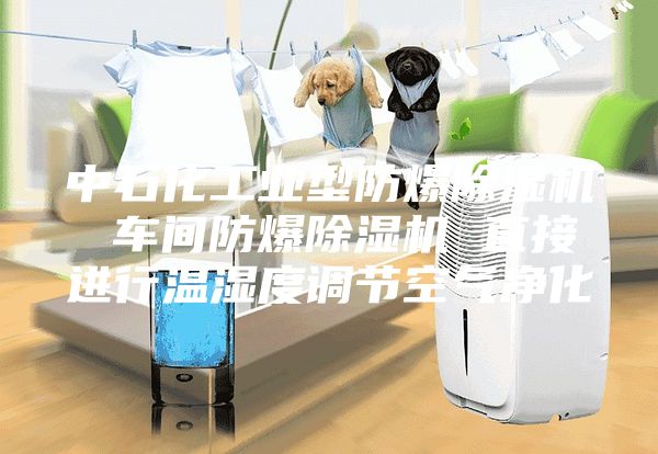 中石化工业型防爆除湿机 车间防爆除湿机 直接进行温湿度调节空气净化