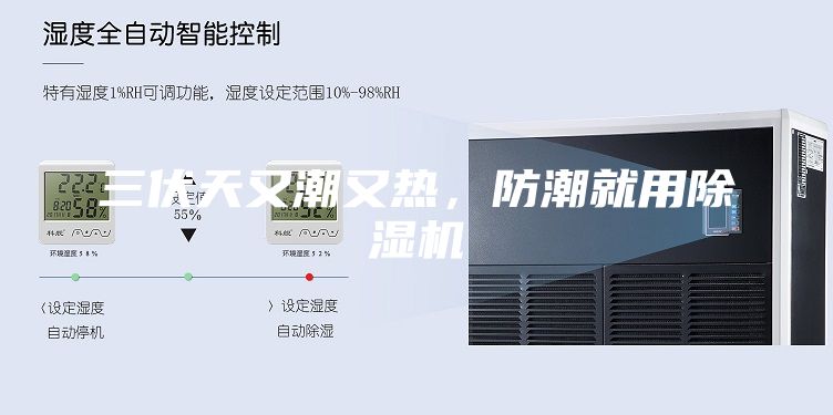 三伏天又潮又热，防潮就用除湿机