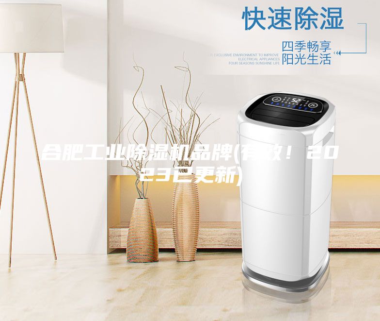 合肥工业除湿机品牌(有效！2023已更新)