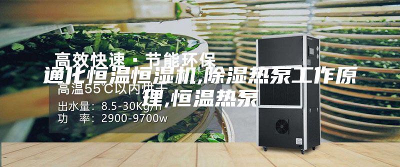 通化恒温恒湿机,除湿热泵工作原理,恒温热泵
