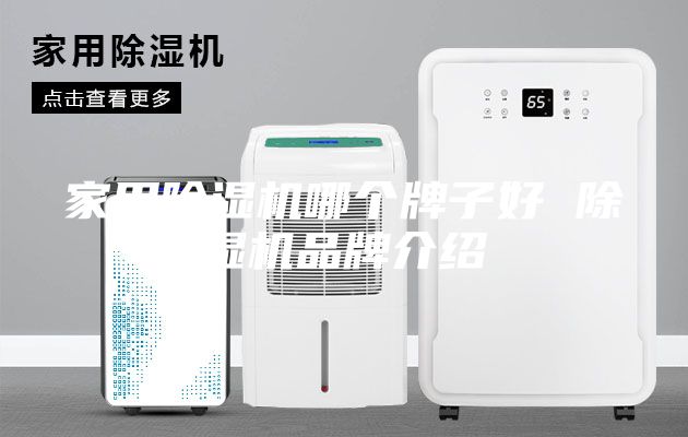 家用除湿机哪个牌子好 除湿机品牌介绍