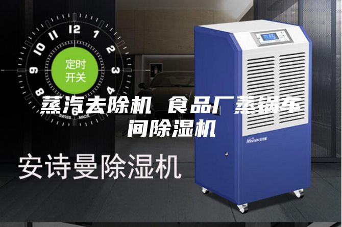蒸汽去除机 食品厂蒸锅车间除湿机