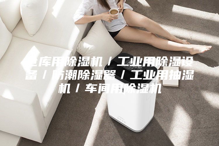 仓库用除湿机／工业用除湿设备／防潮除湿器／工业用抽湿机／车间用除湿机