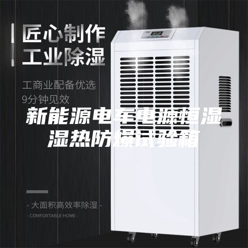 新能源电车电源恒湿湿热防爆试验箱