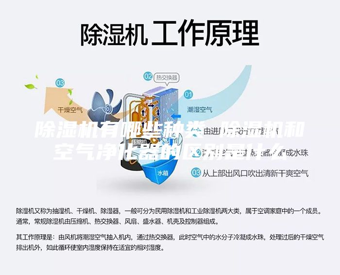 除湿机有哪些种类 除湿机和空气净化器的区别是什么