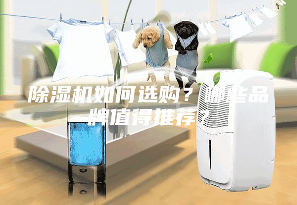 除湿机如何选购？哪些品牌值得推荐？