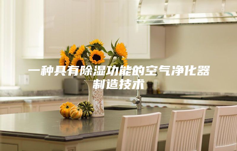 一种具有除湿功能的空气净化器制造技术