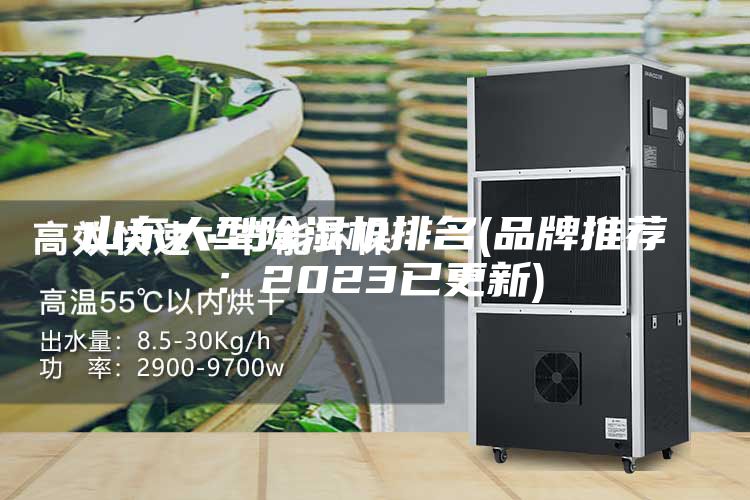 山东大型除湿机排名(品牌推荐：2023已更新)