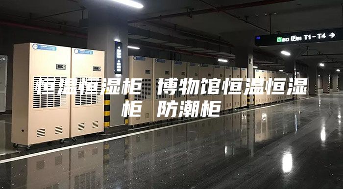 恒温恒湿柜 博物馆恒温恒湿柜 防潮柜