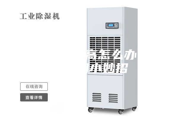 房间湿度太高怎么办 室内防潮小妙招