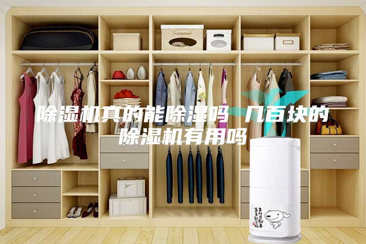 除湿机真的能除湿吗 几百块的除湿机有用吗