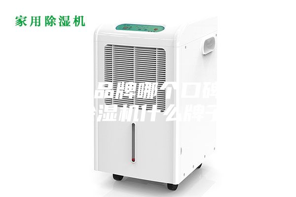 除湿机品牌哪个口碑最好（除湿机什么牌子好）