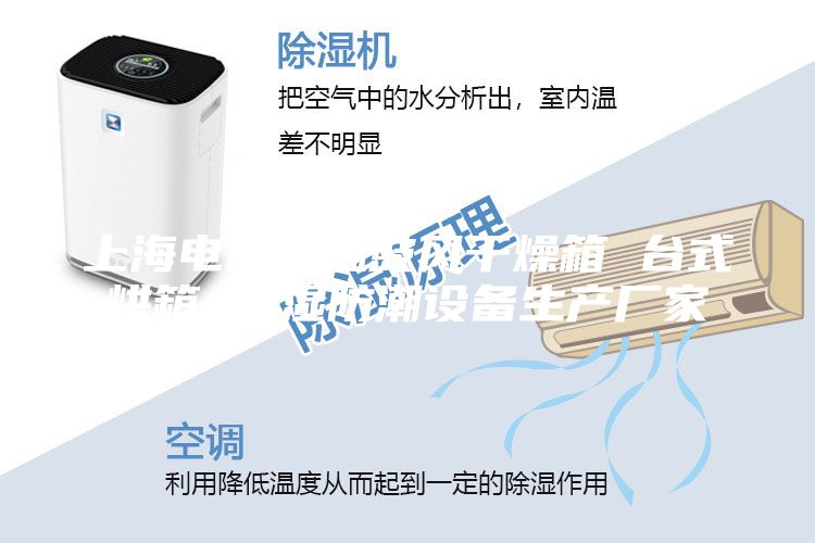 上海电热恒温鼓风干燥箱 台式烘箱 除湿防潮设备生产厂家