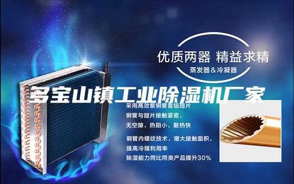 多宝山镇工业除湿机厂家