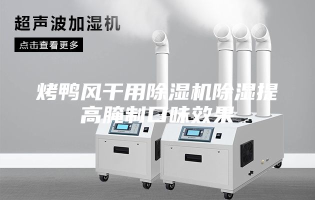 烤鸭风干用除湿机除湿提高腌制口味效果