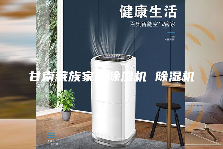 甘南藏族家用除湿机 除湿机