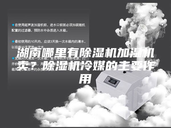 湖南哪里有除湿机加湿机卖？除湿机冷媒的主要作用