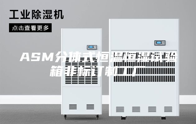 ASM分体式恒温恒湿试验箱非标订制工厂