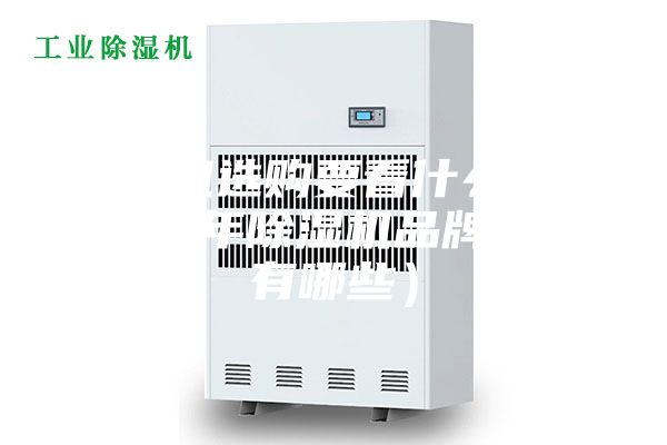 除湿机选购要看什么（2023年除湿机品牌推荐有哪些）