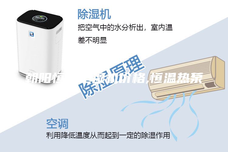 朝阳恒温恒湿机价格,恒温热泵