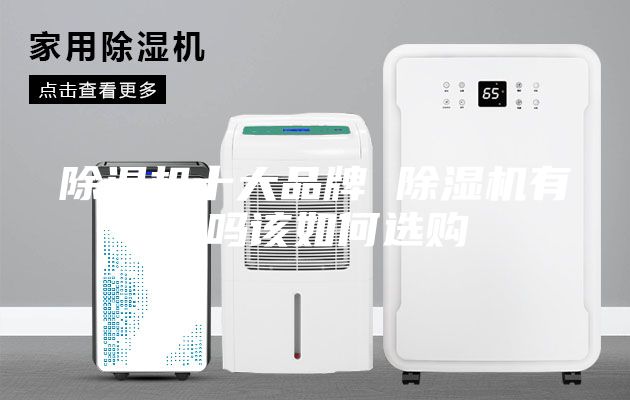 除湿机十大品牌 除湿机有用吗该如何选购
