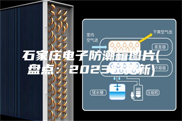 石家庄电子防潮箱图片(盘点：2023已更新)
