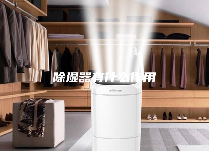 除湿器有什么作用