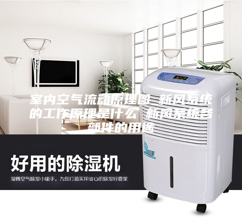 室内空气流动原理图_新风系统的工作原理是什么 新风系统各部件的用途