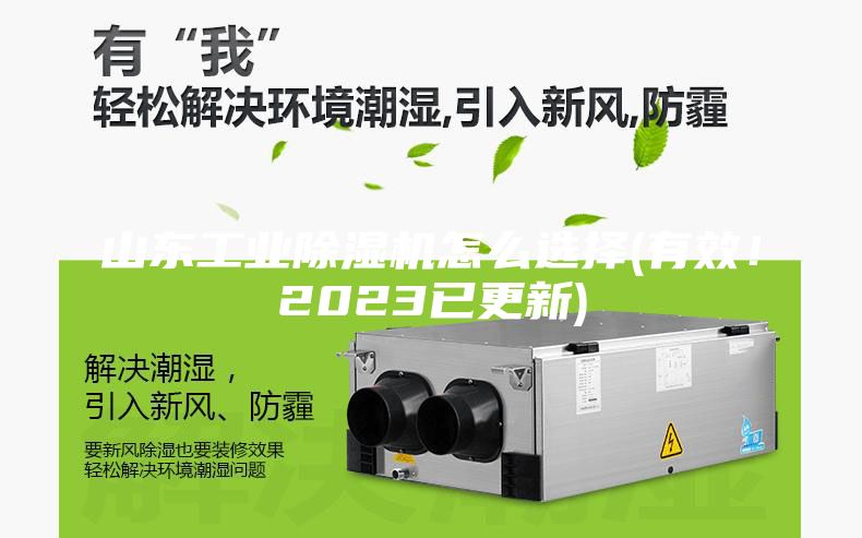 山东工业除湿机怎么选择(有效！2023已更新)