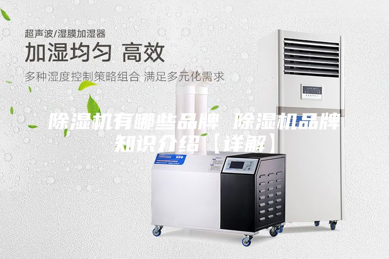 除湿机有哪些品牌 除湿机品牌知识介绍【详解】