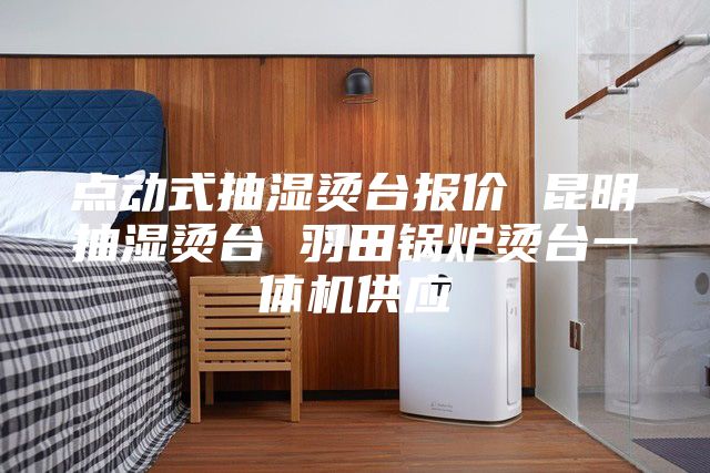 点动式抽湿烫台报价 昆明抽湿烫台 羽田锅炉烫台一体机供应