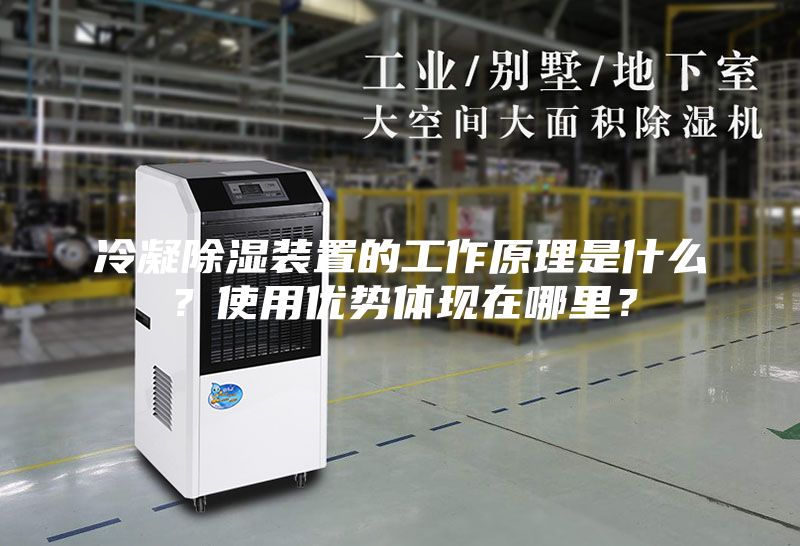 冷凝除湿装置的工作原理是什么？使用优势体现在哪里？
